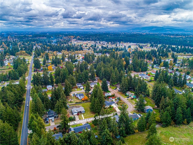 604 Nieland Loop SE, Rainier, WA 98576 - aerial overview of property's location