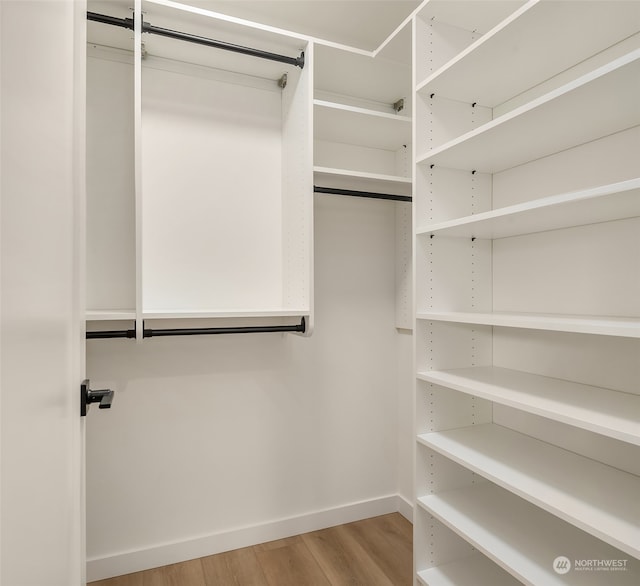 spacious closet with light hardwood / wood-style floors