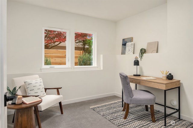 view of carpeted office space