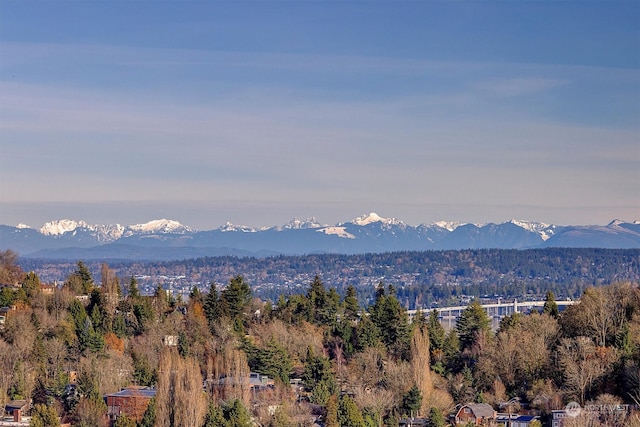 view of mountain feature