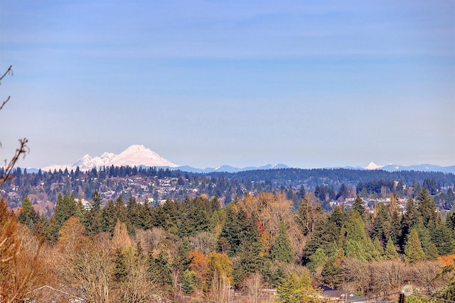 view of mountain feature