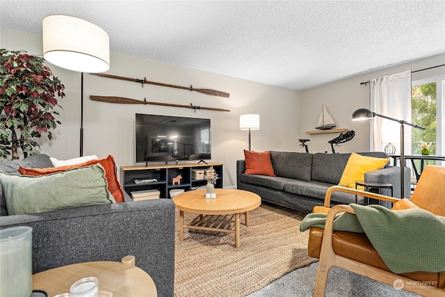 living room featuring a textured ceiling