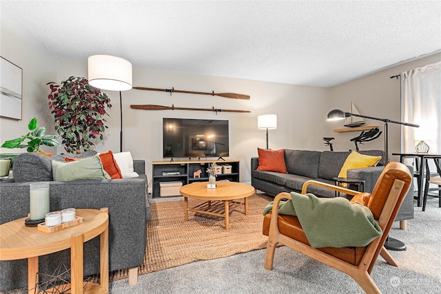 carpeted living room with a textured ceiling