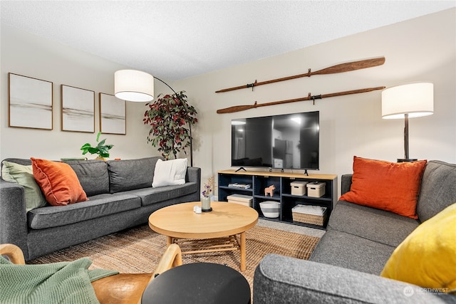 living room featuring a textured ceiling