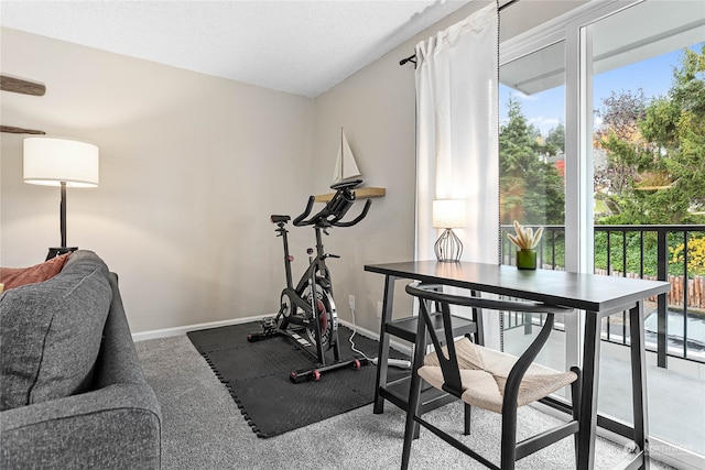 workout area featuring a textured ceiling and carpet flooring