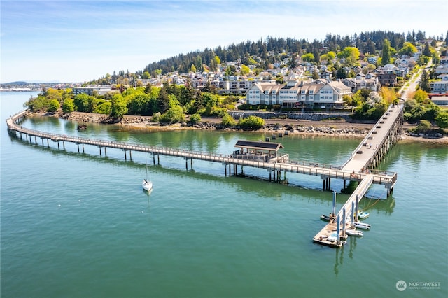 bird's eye view with a water view