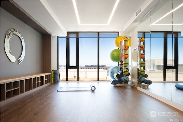 exercise room featuring hardwood / wood-style flooring and floor to ceiling windows