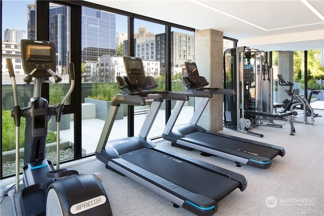 workout area with floor to ceiling windows