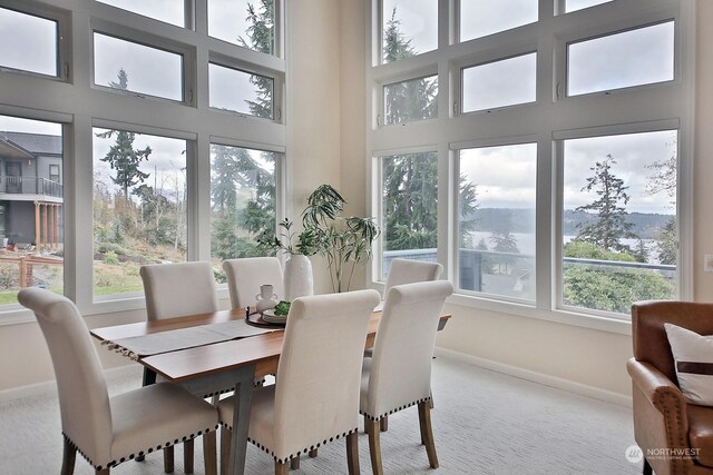 4962 Lilac Dr, Freeland, WA 98249 - carpeted dining space featuring baseboards and a towering ceiling