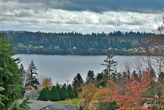 4962 Lilac Dr, Freeland, WA 98249 - water view featuring a forest