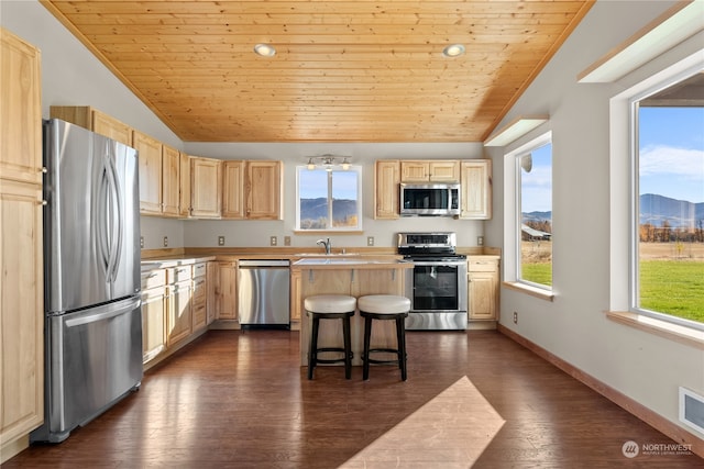 kitchen with a kitchen island, dark wood-type flooring, a mountain view, stainless steel appliances, and a kitchen bar