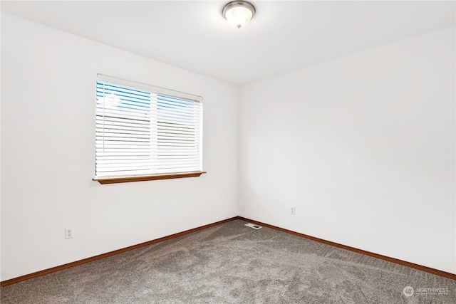 unfurnished room featuring carpet floors