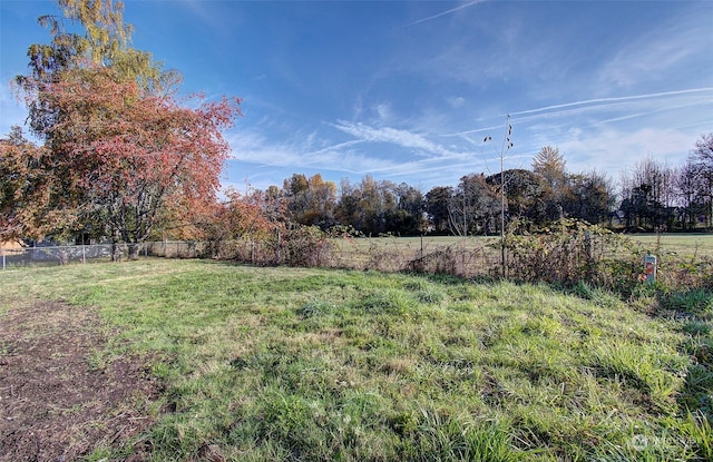 view of yard featuring a rural view