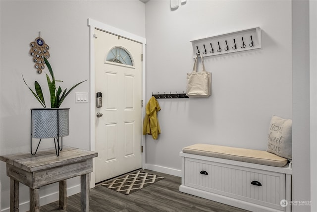 foyer with dark hardwood / wood-style floors