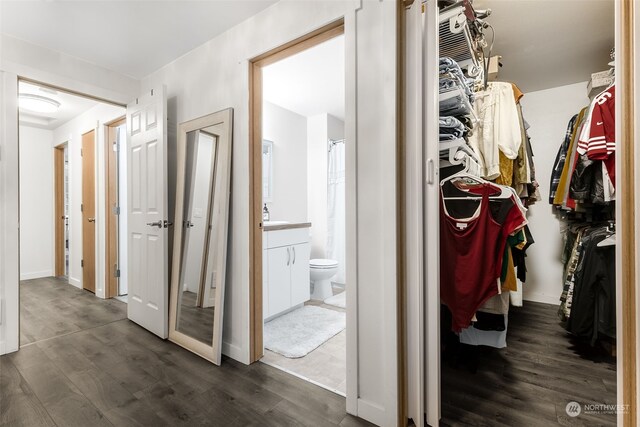 hallway featuring dark hardwood / wood-style flooring