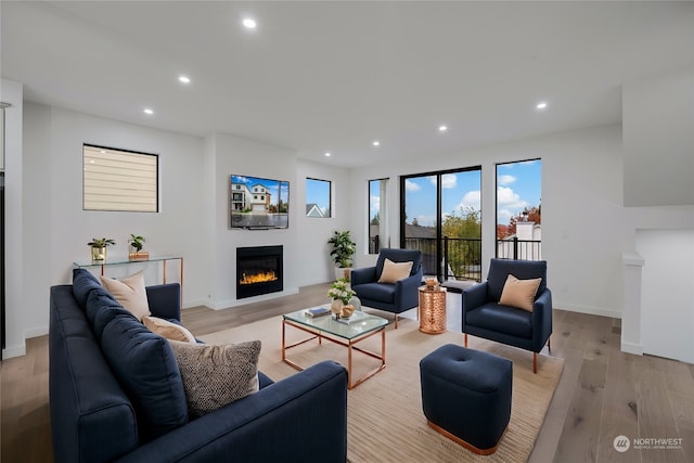 living room featuring light hardwood / wood-style flooring