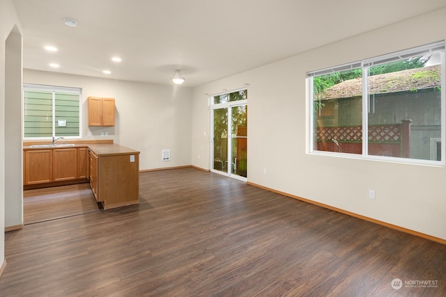 unfurnished living room with sink and dark hardwood / wood-style flooring