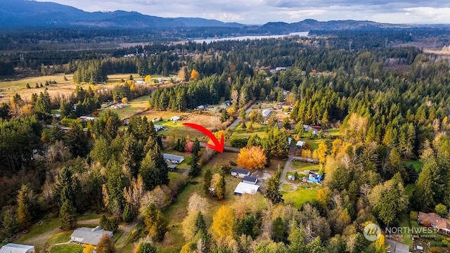 birds eye view of property featuring a mountain view