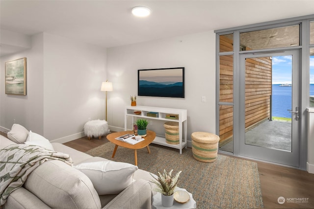 living room featuring hardwood / wood-style floors and a water view