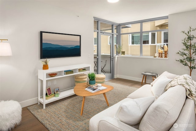 living room with hardwood / wood-style flooring