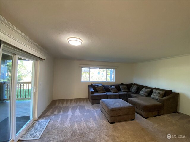 24801 Sandridge Rd, Ocean Park, WA 98640 - photo 8