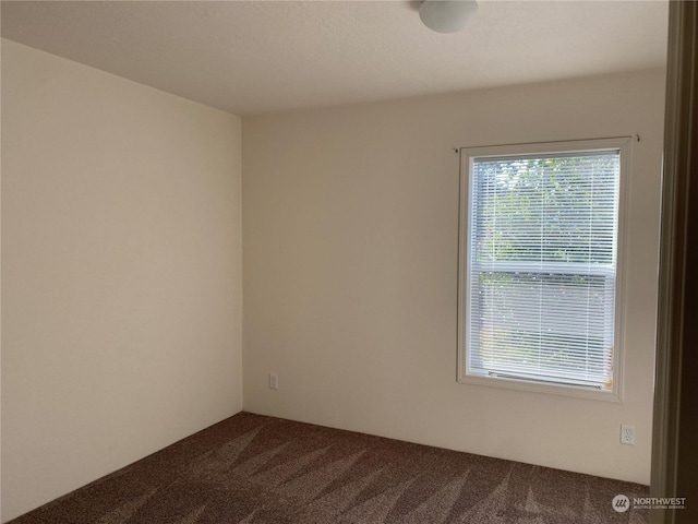 24801 Sandridge Rd, Ocean Park, WA 98640 - photo 19