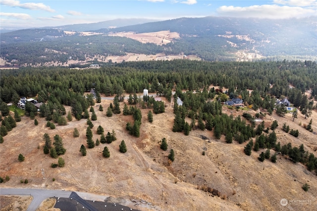 19 N Greenridge Dr, Liberty Lake, WA 99019 - photo 5