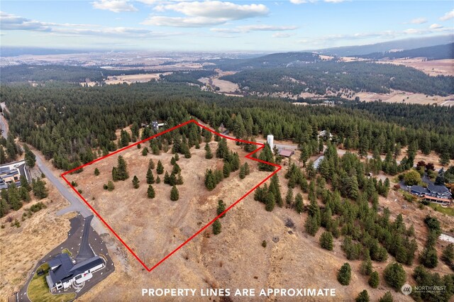 19 N Greenridge Dr, Liberty Lake, WA 99019 - photo 17