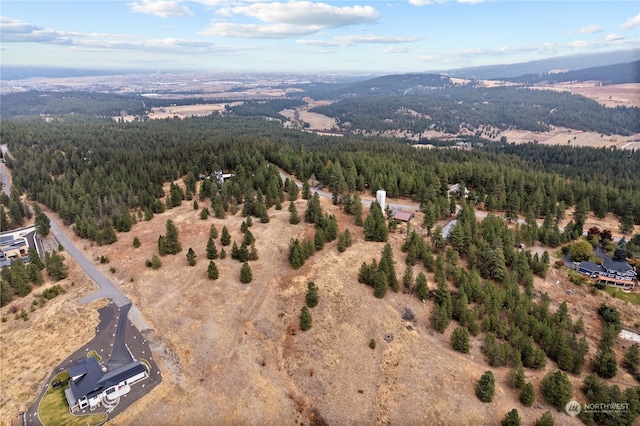 19 N Greenridge Dr, Liberty Lake, WA 99019 - photo 4