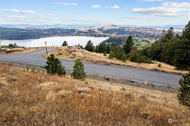 19 N Greenridge Dr, Liberty Lake, WA 99019 - photo 10