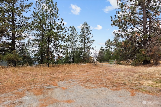 19 N Greenridge Dr, Liberty Lake, WA 99019 - photo 16