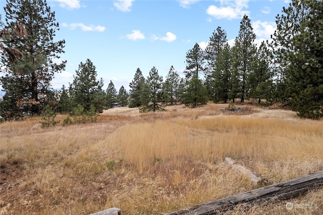 19 N Greenridge Dr, Liberty Lake, WA 99019 - photo 8