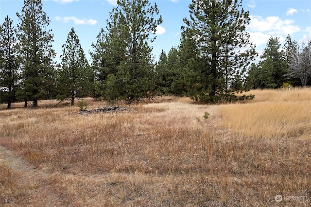 19 N Greenridge Dr, Liberty Lake, WA 99019 - photo 9