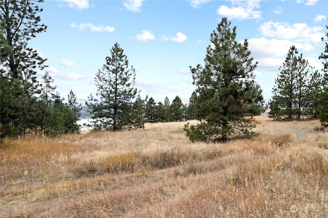 19 N Greenridge Dr, Liberty Lake, WA 99019 - photo 11