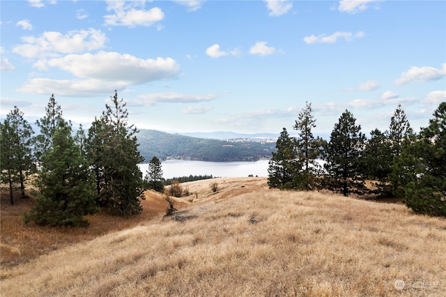 19 N Greenridge Dr, Liberty Lake, WA 99019 - photo 12