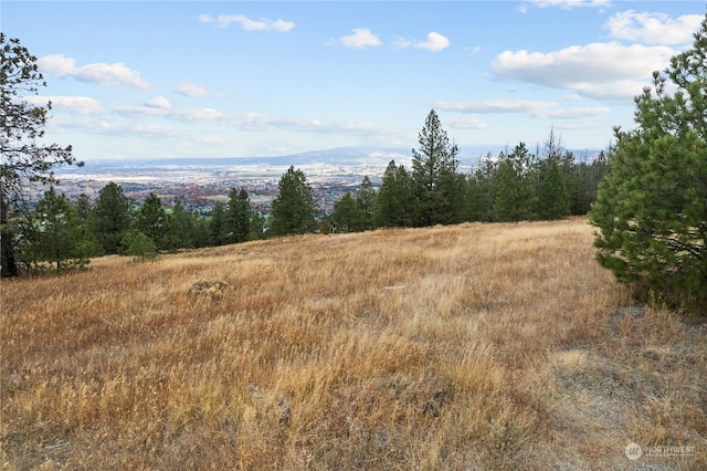 19 N Greenridge Dr, Liberty Lake, WA 99019 - photo 15