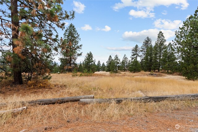 19 N Greenridge Dr, Liberty Lake, WA 99019 - photo 7
