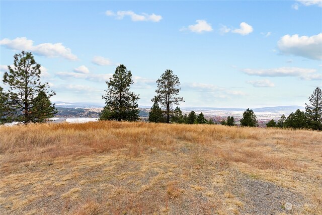 19 N Greenridge Dr, Liberty Lake, WA 99019 - photo 13