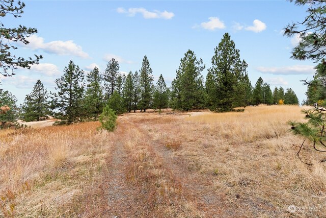 19 N Greenridge Dr, Liberty Lake, WA 99019 - photo 14
