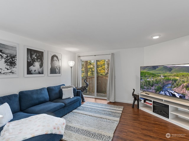 living room featuring dark hardwood / wood-style flooring