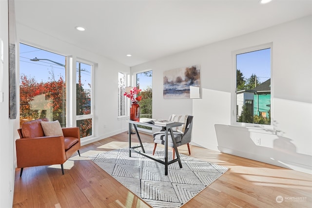 home office featuring light hardwood / wood-style floors and a healthy amount of sunlight