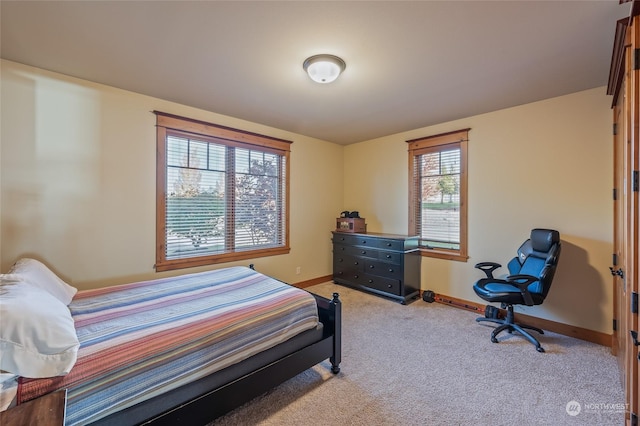 1114 S Wells, East Wenatchee, WA 98802 - bedroom with light carpet and baseboards