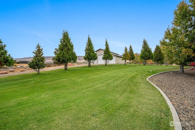 1114 S Wells, East Wenatchee, WA 98802 - view of grassy yard