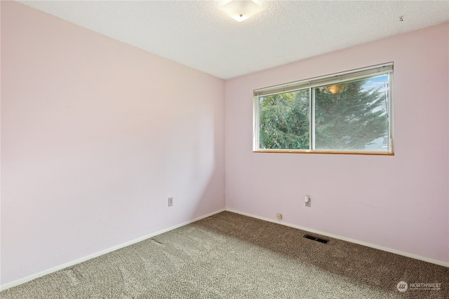 spare room featuring carpet and a textured ceiling