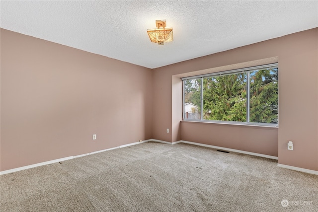 spare room featuring carpet flooring and a textured ceiling