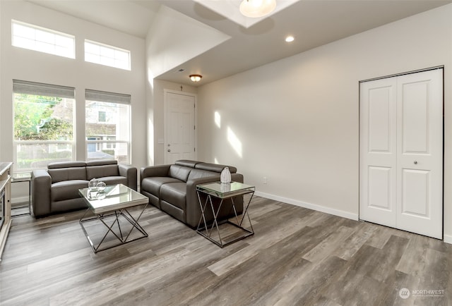 living room with hardwood / wood-style flooring