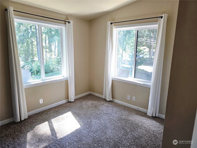 carpeted spare room featuring vaulted ceiling and a wealth of natural light