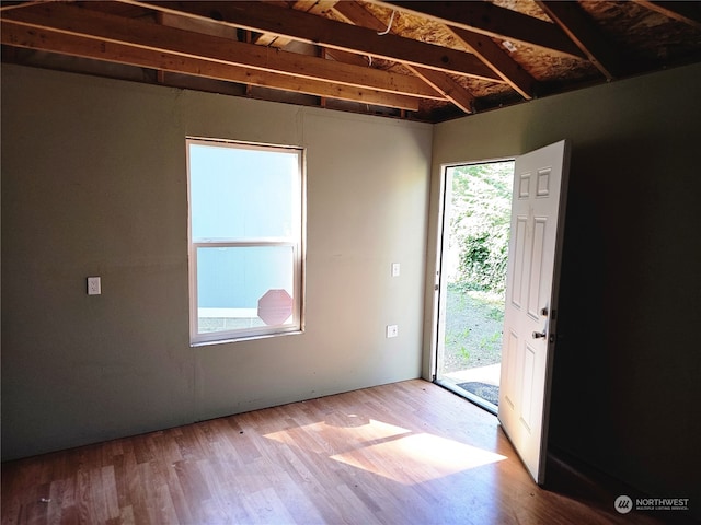 interior space featuring light hardwood / wood-style floors and a wealth of natural light