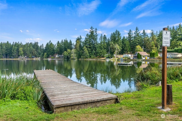 view of dock with a water view