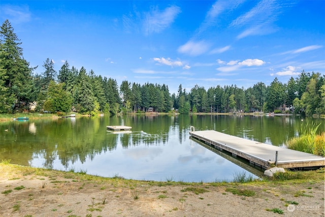 view of dock featuring a water view